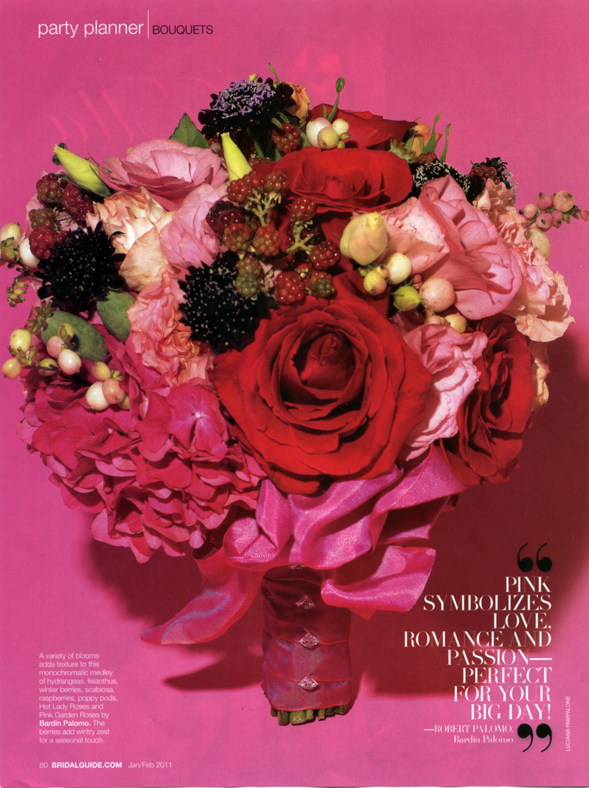 Bridal Guide – January/February 2011